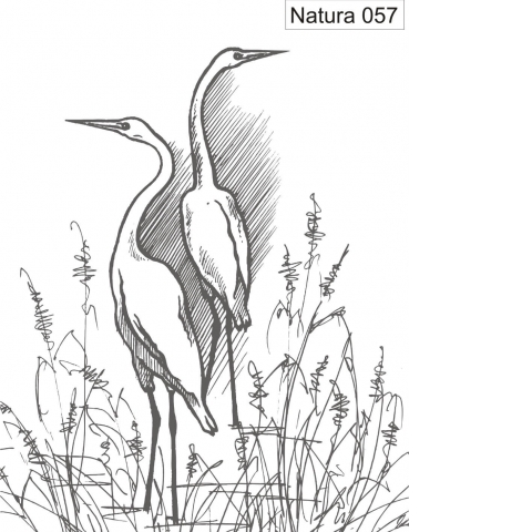 Natura 057.jpg