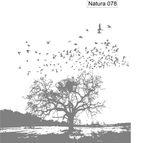 Natura 078.jpg