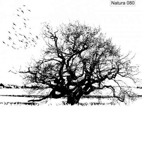 Natura 080.jpg