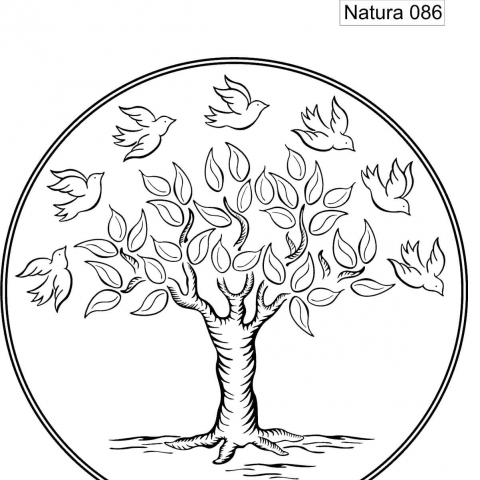Natura 086.jpg